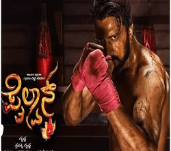Pailwan Music